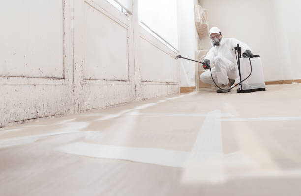 24/7 Emergency Mold Testing experts in East Brunswick, NJ