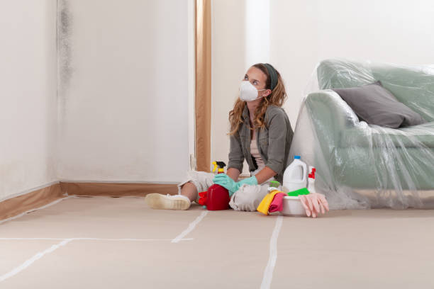 Reliable Mold Remediation contractor in East Brunswick, NJ by Cheap Mold Removal