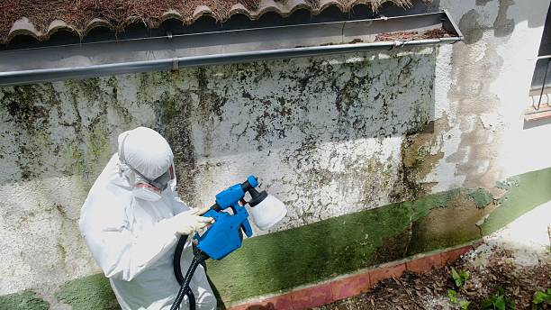 Trusted Mold Testing service in East Brunswick, NJ - Cheap Mold Removal